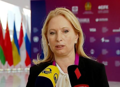 Gürcüstanlı nazir Paşinyanı absurd fikrinə görə sərt tənqid etdi
