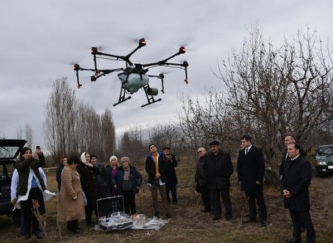 Qubada dronla xəstəlik və zərərvericilərə qarşı əməliyyat aparıldı – Foto