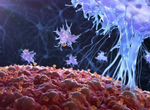 Talış zonası ilə bağlı diqqətçəkən FAKT – Burda xərçəngə tutulanların ciddi səbəbi var