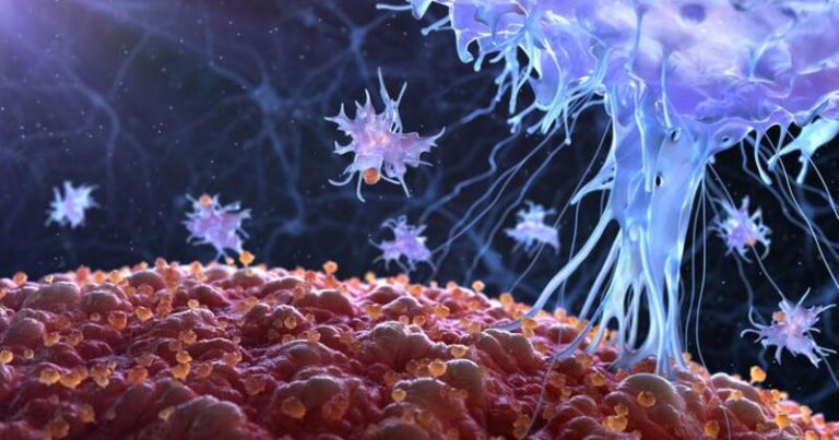 Talış zonası ilə bağlı diqqətçəkən FAKT – Burda xərçəngə tutulanların ciddi səbəbi var Talış zonası ilə bağlı diqqətçəkən FAKT – Burda xərçəngə tutulanların ciddi səbəbi var