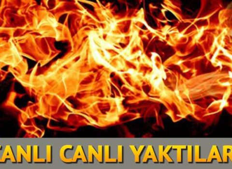 Mersində qan donduran cinayət – Diri-diri yandırdılar