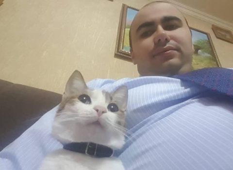Əli Həsənovun oğlu məşhur pişiyini də ABŞ-a apardı