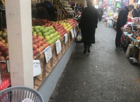 “Almanın kilosunu 40 qəpiyə verirəm, alan yoxdur…”