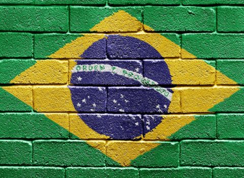 Braziliyada ümumi seçkilərdə səsvermələr başa çatdı