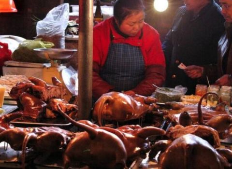 Koronavirusun yayıldığı bazardan dəhşətli görüntülər – FOTO – VİDEO