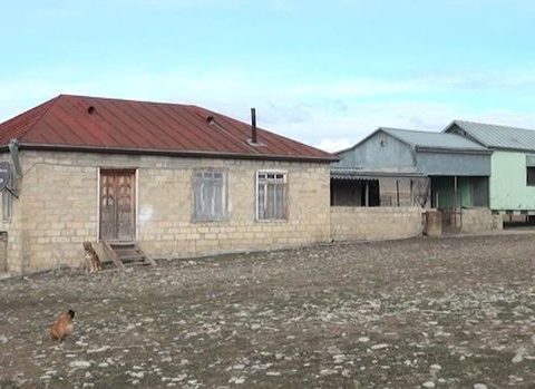 Şamaxının bu kəndinin cəmi bir sakini var