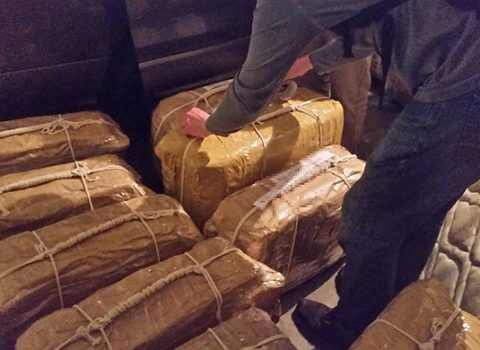 Braziliyadan Bakıya kokain trafiki: Julio Sezara 12 il həbs cəzası verildi