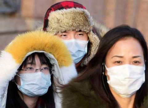 Koronavirus bu heyvandan yoluxub – FOTO