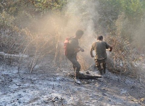 Ağstafada yanğının meşə zolağına keçməsinin qarşısı alınıb