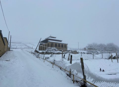Yeni ilin ilk qarı – Şamaxı və Qaxdan görüntülər – FOTO