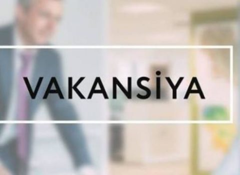 Dövlət İmtahan Mərkəzi 720 manata işçi axtarır