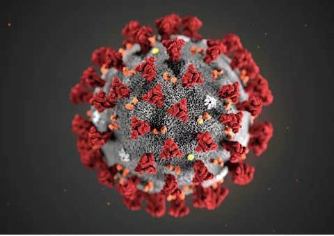 Koronavirus xəstəliyinə tutulan çinli qadın sağlam bir qız dünyaya gətirdi