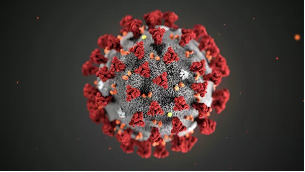 Koronavirus xəstəliyinə tutulan çinli qadın sağlam bir qız dünyaya gətirdi Koronavirus xəstəliyinə tutulan çinli qadın sağlam bir qız dünyaya gətirdi