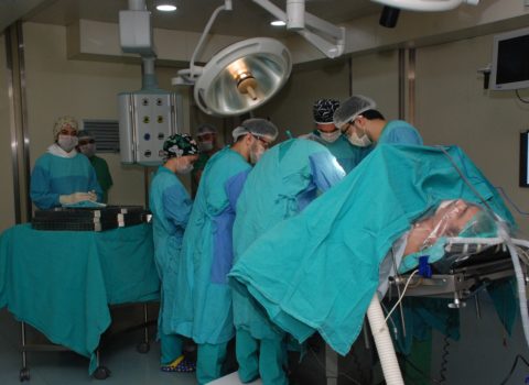 Azərbaycanlı cərrah 1 gündə 56 əməliyyat keçirdi, Rusiya rekordunu təzələdi