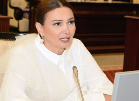 “Dözmək olmur” – Qənirə Paşayeva illik limit məsələsinə ETİRAZ ETDİ