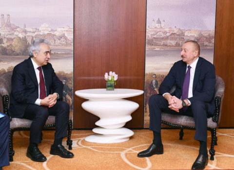 Prezident İlham Əliyev Beynəlxalq Enerji Agentliyinin icraçı direktoru ilə görüşdü