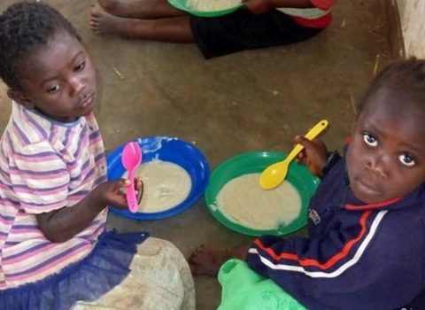 Afrikada 239 milyon insan aclıqdan əziyyət çəkir – BMT
