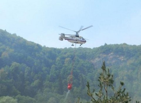 Qubada YANĞIN: Əraziyə 2 helikopter cəlb olundu