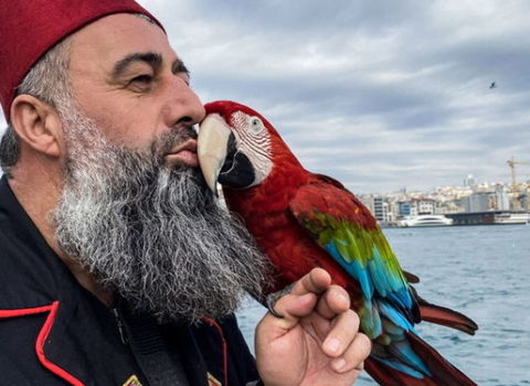 Azərbaycandan qayıdarkən müsadirə olunan tutuquşusuna 162 gün sonra qovuşdu – VİDEO