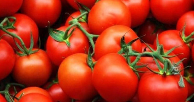 Qazaxıstanın geri qaytardığı pomidorlarla bağlı - AÇIQLAMA
