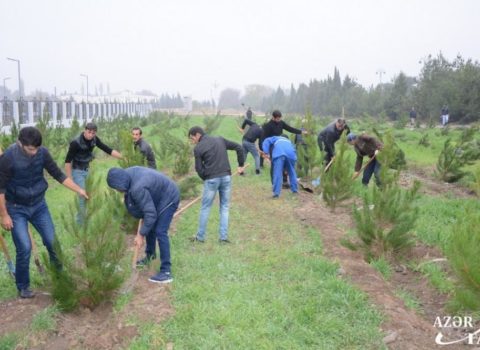 Nazirlik bu məsələdə vətəndaşlarla məsləhətləşdi