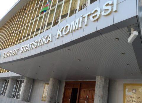Statistika Komitəsinin rəhbərliyi Prezidentin təşəbbüsünə qoşuldu