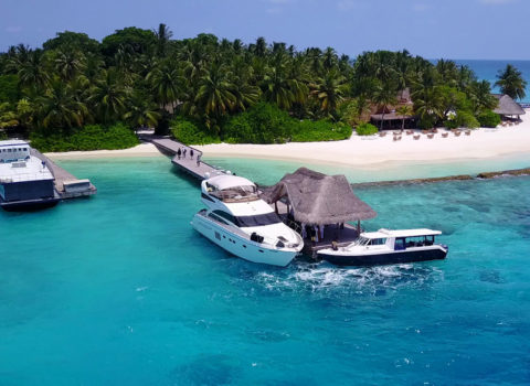 Alimlərdən Maldiv adaları ilə bağlı VACİB TƏKLİF