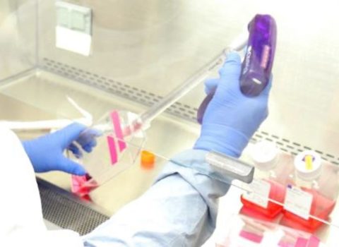 Bu gün Azərbaycanda 3656 nəfər koronavirusla bağlı test olundu