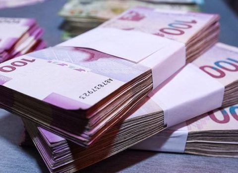 İşsizlərə 19 milyon manat ödənilib – Nazirlik AÇIQLADI