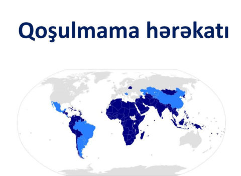 Qoşulmama Hərəkatı: Qondarma “DQR”-dəki seçkilər qanunsuzdur