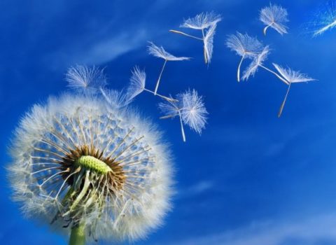 Sabah hava necə olacaq? – Proqnoz