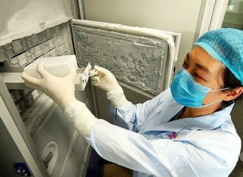 Uhandan şok görüntülər: Virus burdan yayılıb – Foto