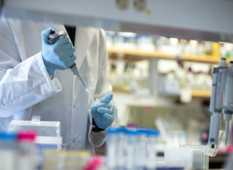 Bu meyvədə koronavirus tapıldı