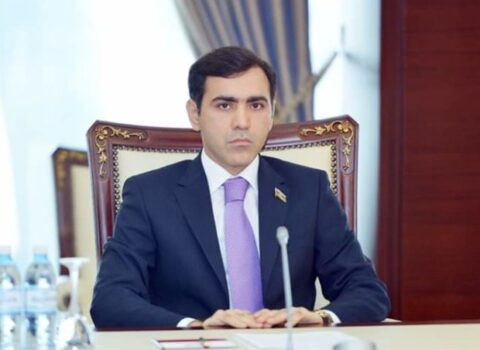 Ermənilərin faşizmi təbliğ etməsinin kökündə mənfur xislətləri dayanır” – Millət vəkili