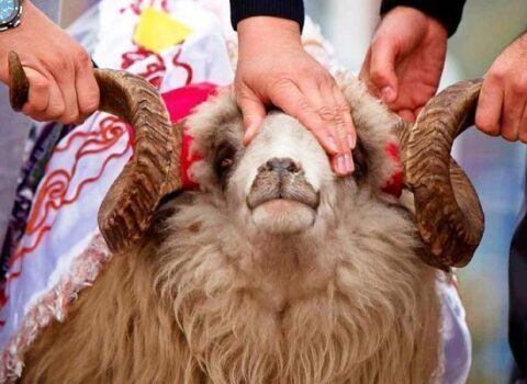 “Qurban bayramı varlılar üçün yarışdır”