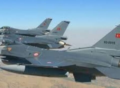 Türkiyənin iki qurumu birgə əməliyyat keçirdi