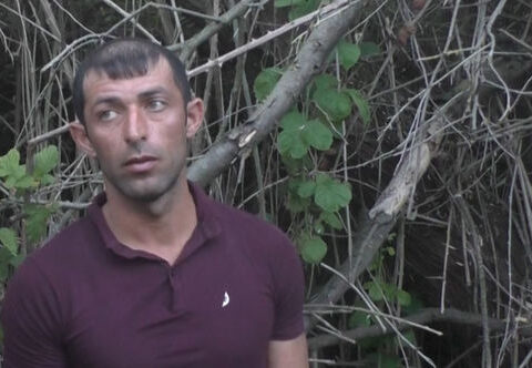 Narkotik tərkibli bitkilər əkib-becərən şəxs tutuldu – FOTO