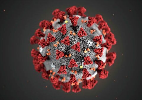 Moldovada koronavirusla bağlı son vəziyyət açıqlandı