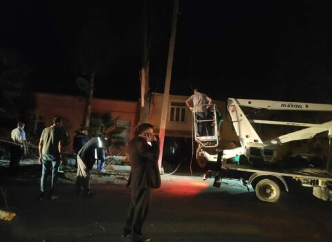 Güclü külək ağacları elektrik xətlərinin üzərinə aşırdı – FOTO