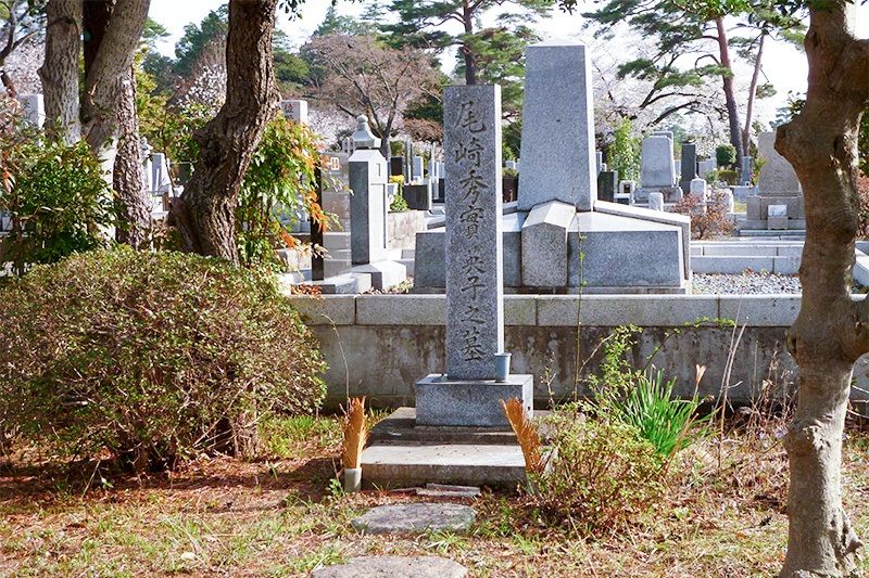 Заброшенные могилы. Люблю кладбище. Кладбище любви кладбище добра. Троекуровское кладбище любовь полищук. Смерть надпись.