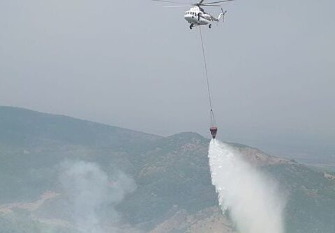 Qəbələdə dağlıq ərazidə YANĞIN – Havaya helikopterlər qaldırıldı