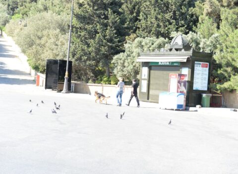 Bakı sakinləri küçələrdə – FOTOLAR – EKSKLÜZİV