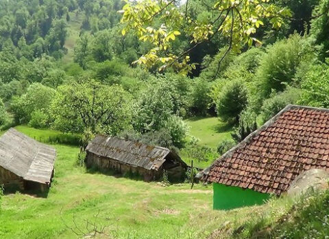 Azərbaycanda daha bir kəndin adı dəyişdirilir