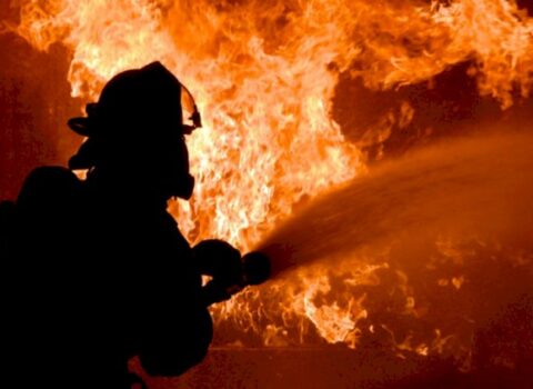 İmişlidə ferma yandı, 60 baş mal-qara tələf oldu