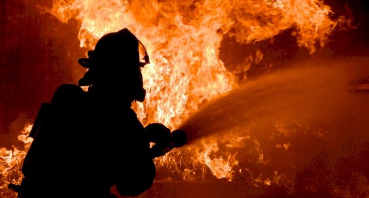 İmişlidə ferma yandı, 60 baş mal-qara tələf oldu İmişlidə ferma yandı, 60 baş mal-qara tələf oldu