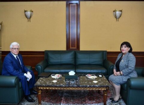 Sahibə Qafarova Rusiyanın Azərbaycandakı səfirini qəbul etdi
