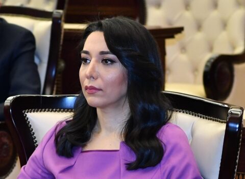 Ombudsman Ermənistanın təxribatı ilə bağlı beynəlxalq təşkilatlara hesabat göndərdi