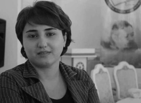“Mən jurnalist olmaq istəmirdim” – Günay Novruz “Bu qız siyasətçi-politoloq yox hazır yazıçıdır.”