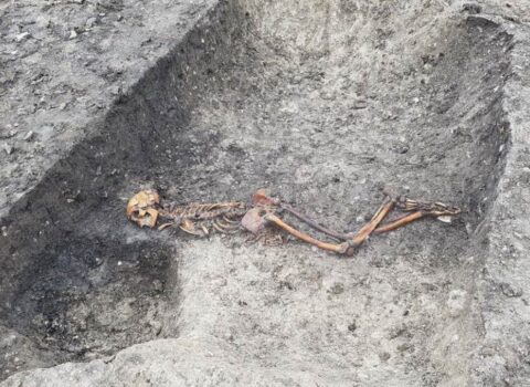 İngiltərədə 2500 il bundan əvvələ aid insan skeleti tapıldı