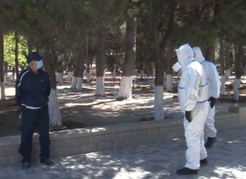 Sumqayıtda çöldə gəzən koronavirus xəstəsinə cinayət işi açıldı – VİDEO